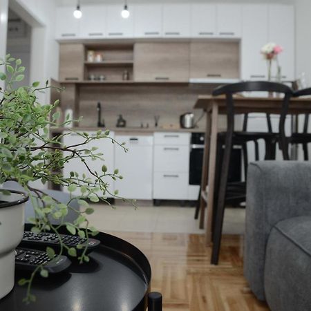 Apartment Dobraya Grey نوفي ساد المظهر الخارجي الصورة