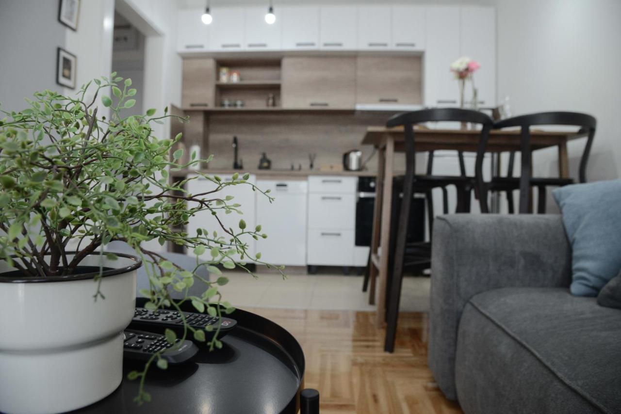 Apartment Dobraya Grey نوفي ساد المظهر الخارجي الصورة
